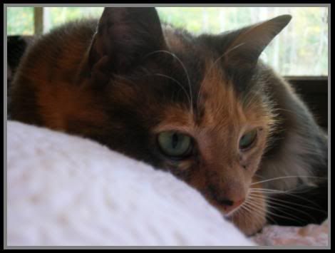 re: The Sublimely Cute!!!