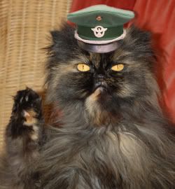 Image hosting by Photobucket