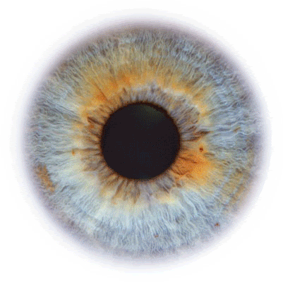eye gif photo: Hubble Eye eye-2.gif