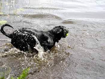 Little Man learns about water