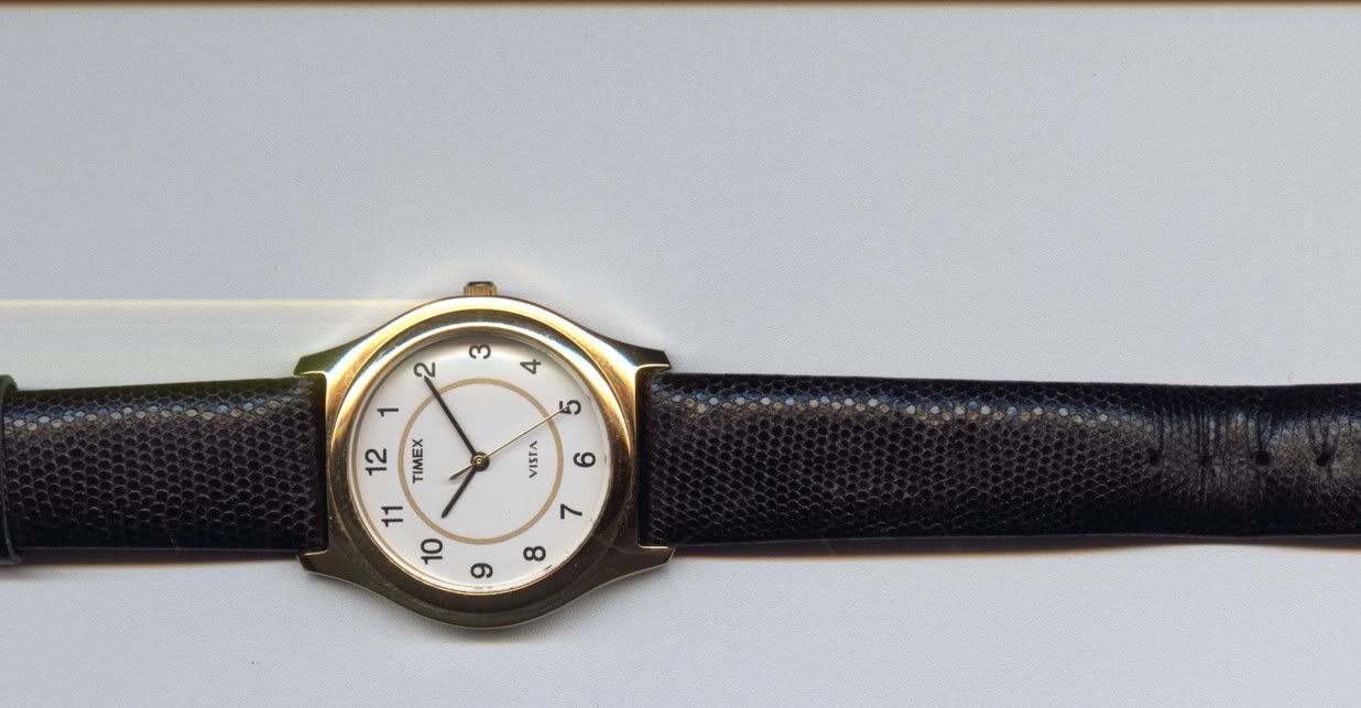 timex vista watch