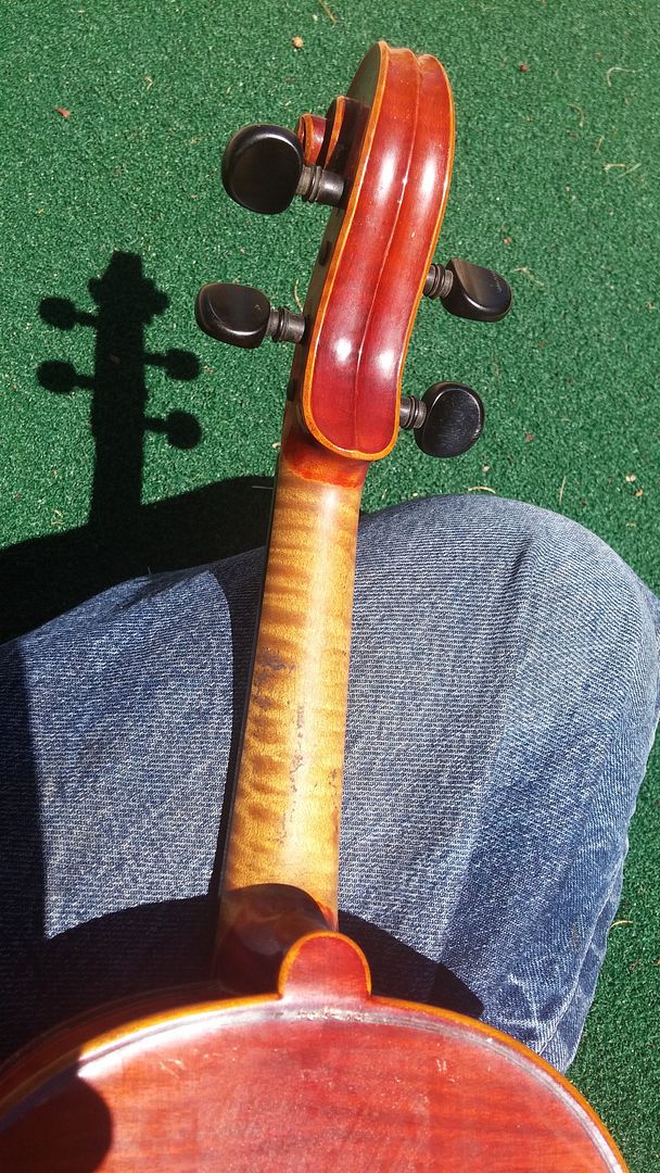  photo 20160827_122943.jpg