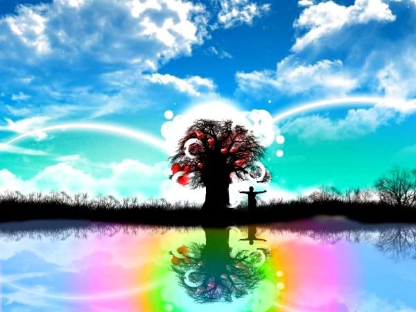 Rainbow  Tree