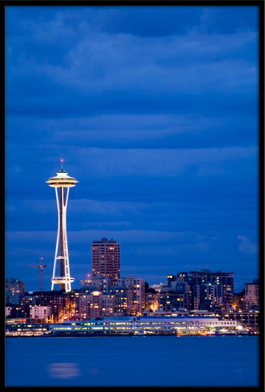 IMAGE: http://i35.photobucket.com/albums/d179/piflyboy/Needle_2579.jpg