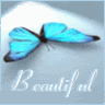 thbeautifulbutterfly.gif