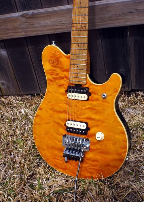 EVH-02.jpg