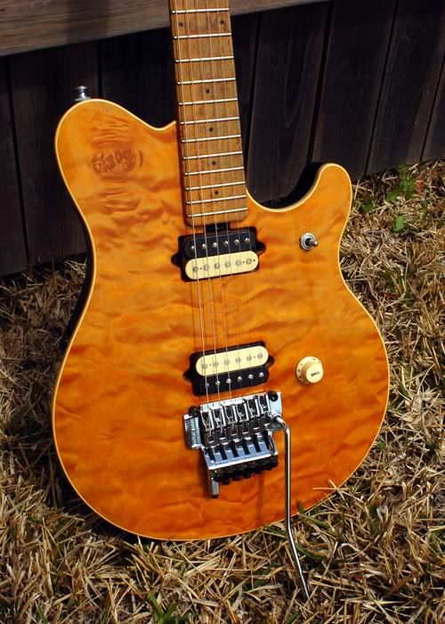 EVH-03.jpg
