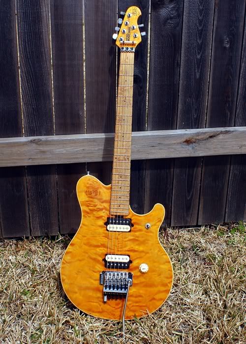 EVH-04.jpg