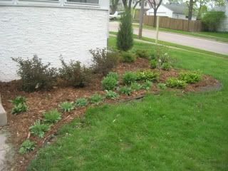 Front landscaping
