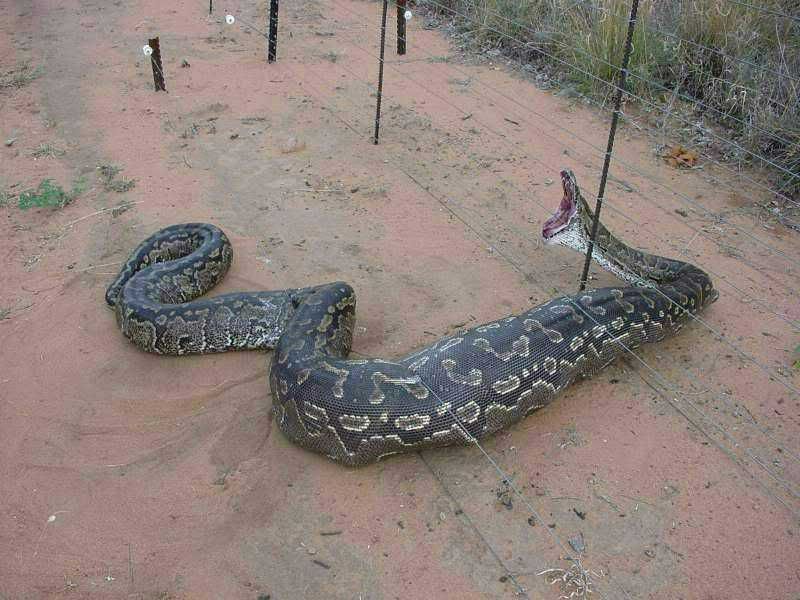 linked-image