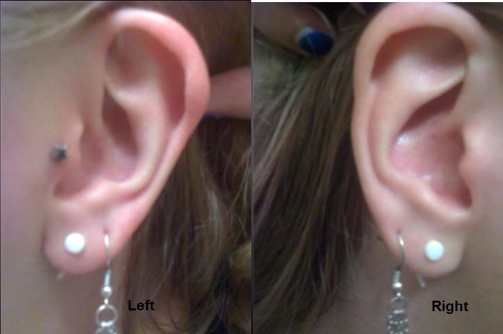 Lobes x4 (3.2mm x2) | Nipple x2. Want Belly button (x4) Rook (left) | Conch (left) Tragus (right) | Helix x2 (both in right) Retired Tragus (left)