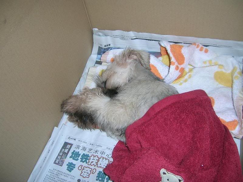 Image Hosted by PhotoBucket.Com
