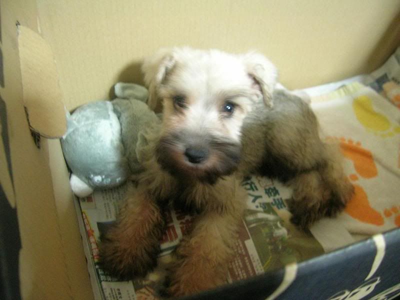 Image Hosted by PhotoBucket.Com