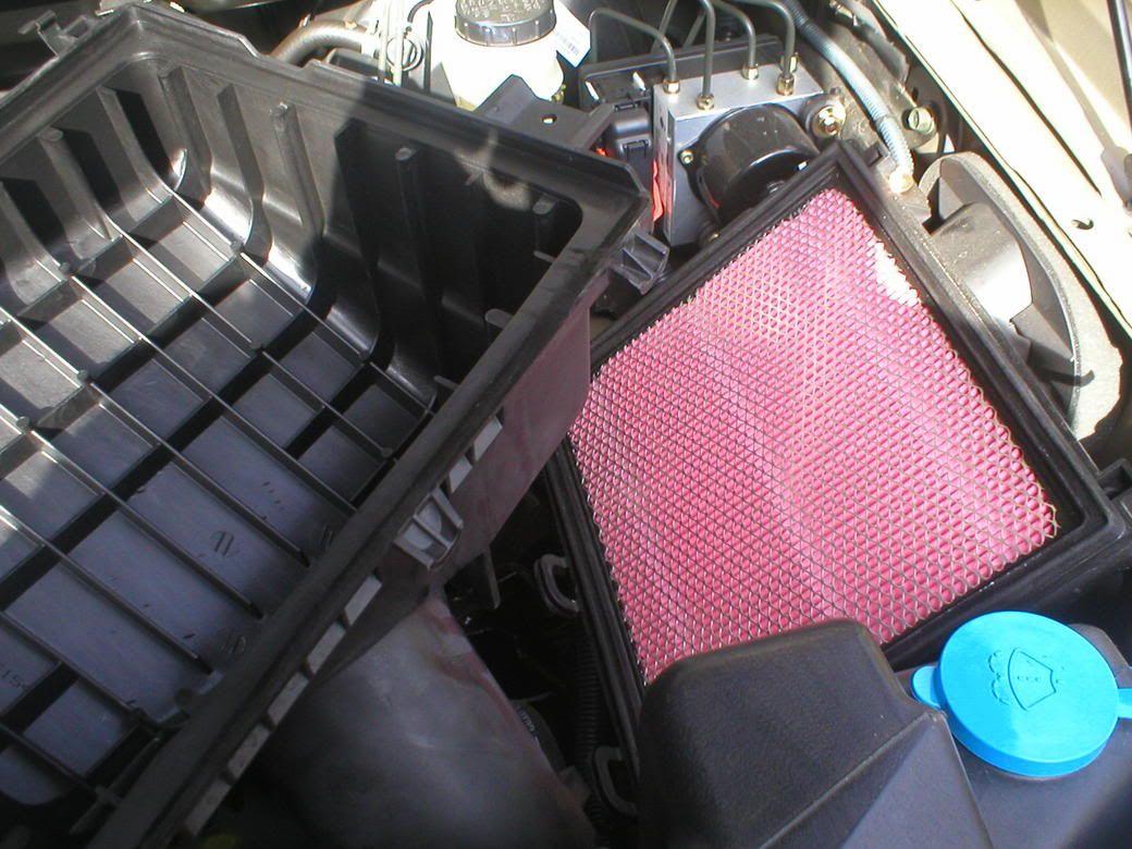 P1010099.jpg