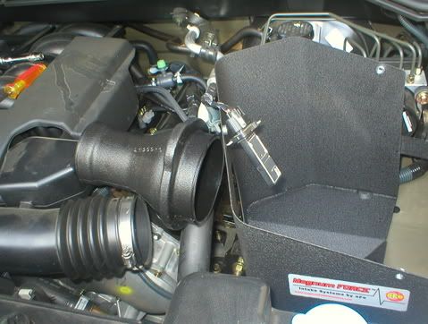 P1010100.jpg