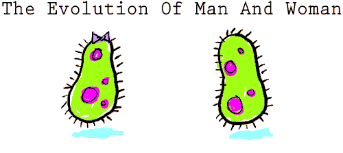A Evolução do Homem e da Mulher