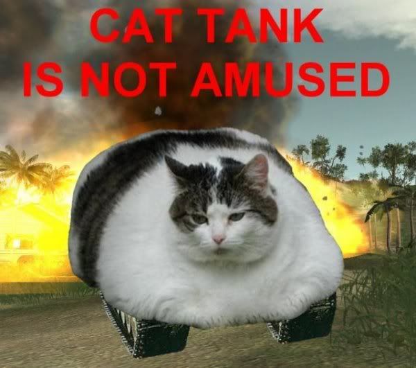 http://i35.photobucket.com/albums/d185/SuperRobot46k/cattank.jpg