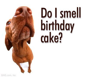 Do I smell Cake