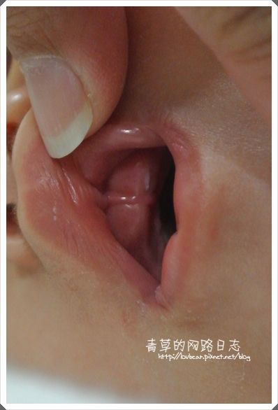 photo bb203_zpsd8ea2ace.jpg