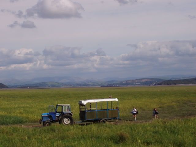 MorecambeBay23Aug08034.jpg