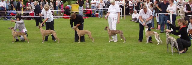 bakewell08ClassWinners.jpg