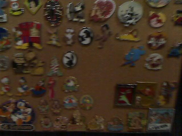 Picture010.jpg