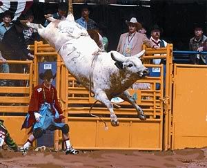 bull_riding.jpg