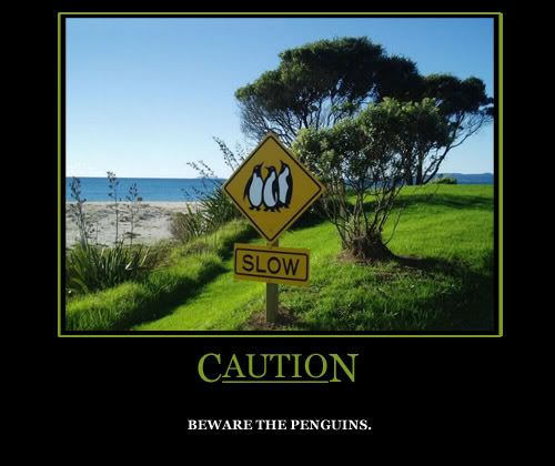 caution.jpg