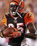 ChadJohnson.jpg chad johnson image by foreverajatt81