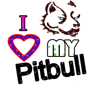 pitbull Pictures, Images and Photos