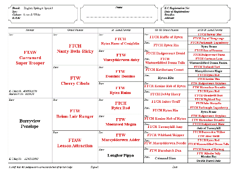 5GenPedigree.gif