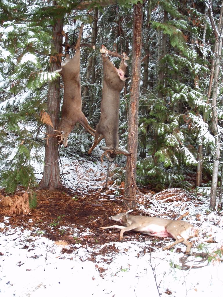 Meat Hanging Pole Thread Page 2