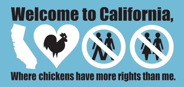 Prop 8 Pictures, Images and Photos