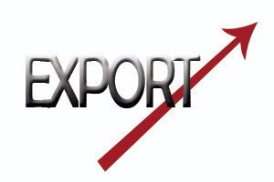Crescita export