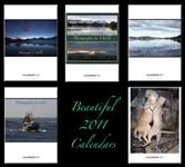 My 2011 Calendars