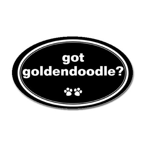 goldendoodle puppies mn. goldendoodles california