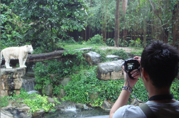 Photo Sharing and Video Hosting at Photobucket