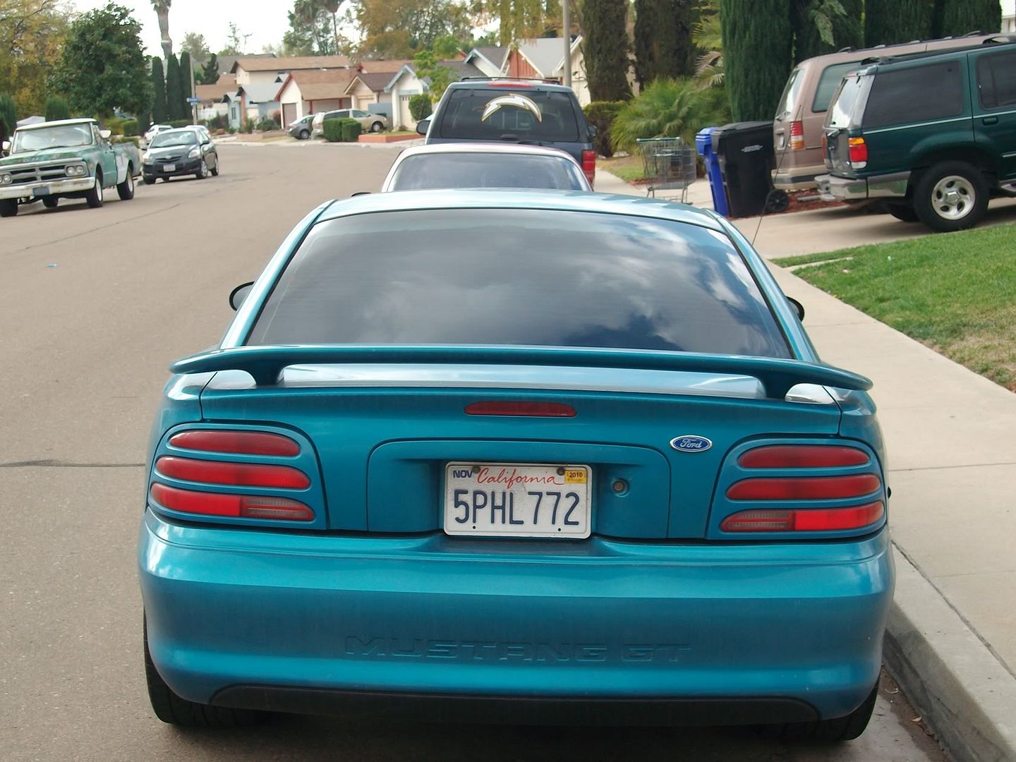 SANY0572.jpg