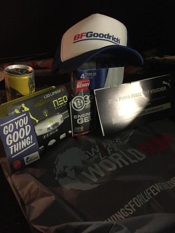 wingsforlife1_zpsbzus76fn.jpg