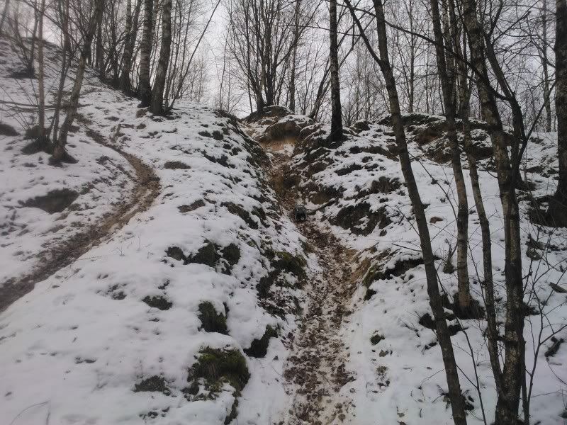 WP_000398.jpg