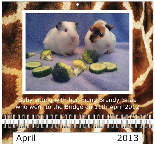 Apr.png