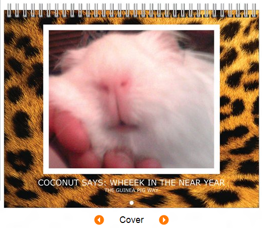 Cover.png