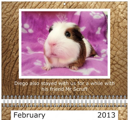 Feb.png