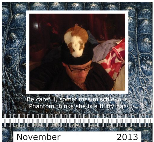 Nov.png