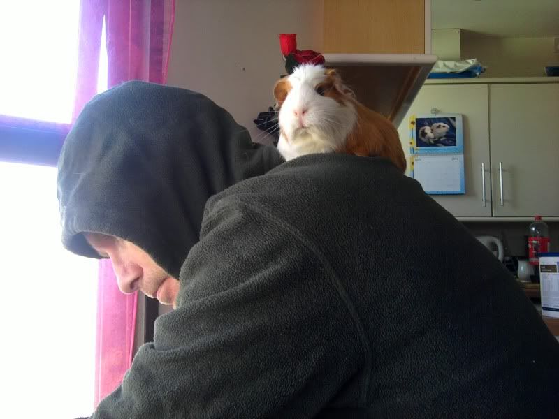PhantomHat.jpg