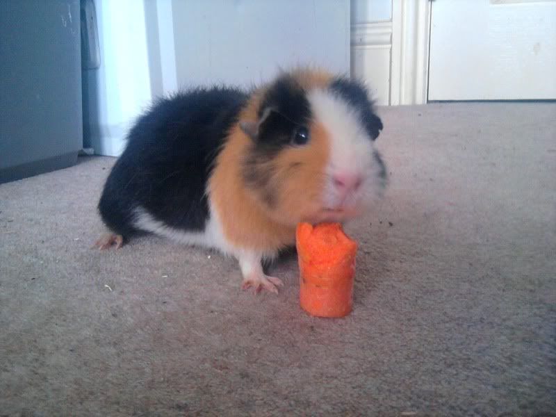 Photo0677.jpg