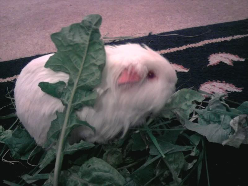 Photo0756.jpg