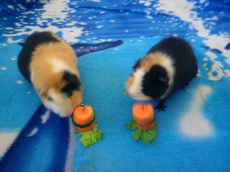 Photo0764.jpg
