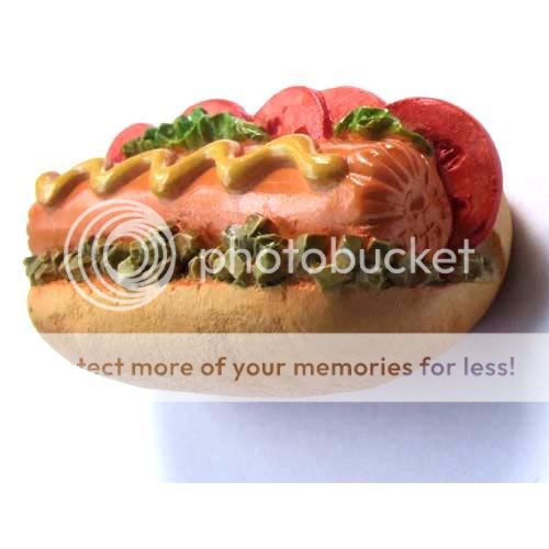 Cooked hot dog sandwich garnished, Mustard,Magnet  