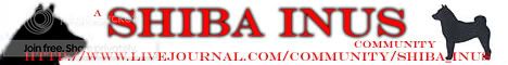 Shiba_Inus Banner